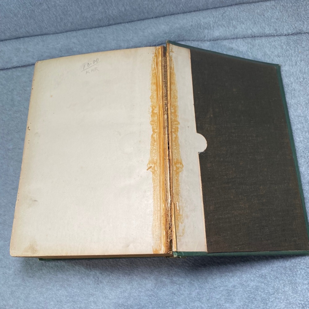 Vintage Practical Family Physician Book by Hood Medical 1901 Antique Loose Pages - Picture 11 of 13